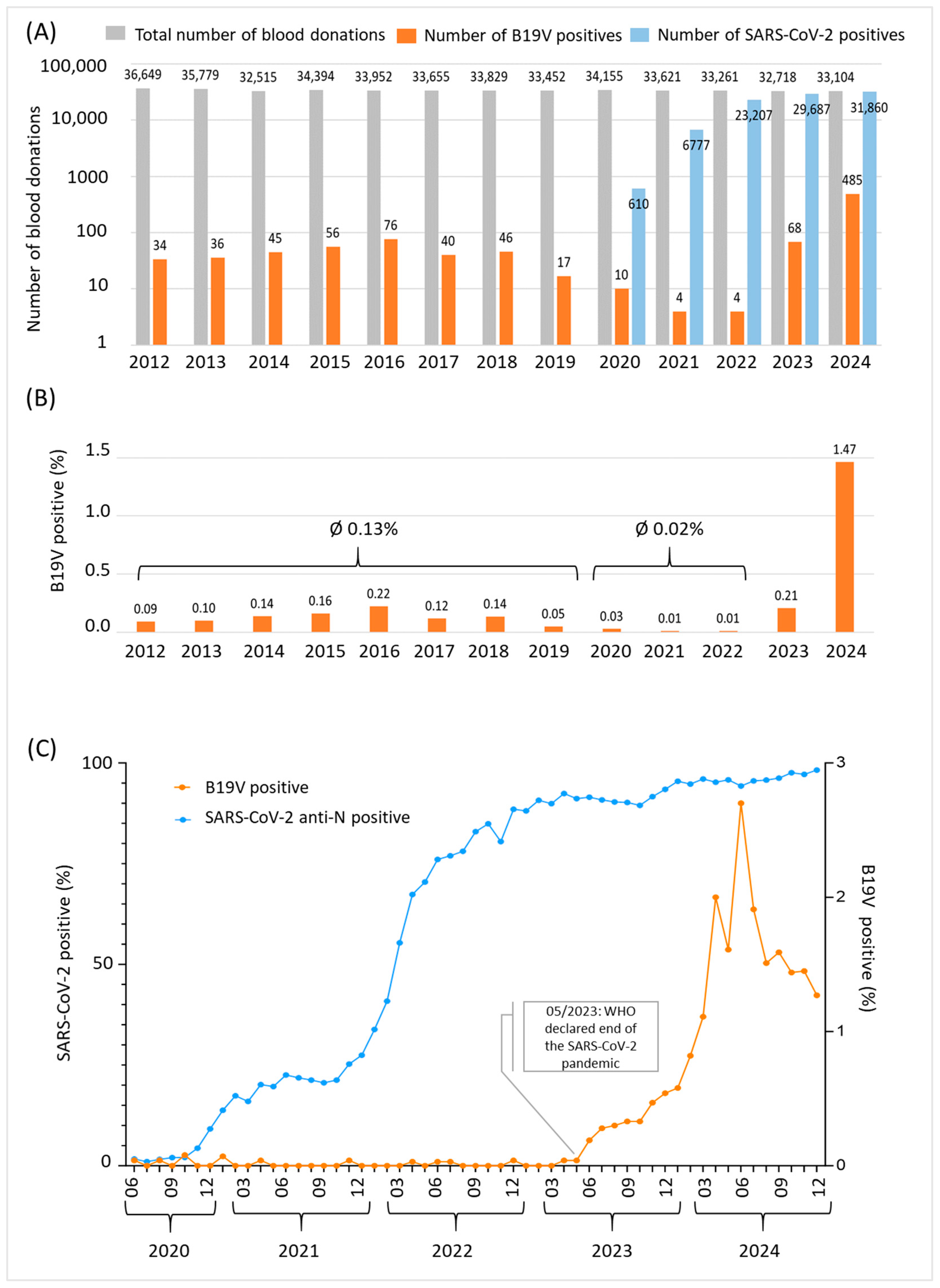 Diagnostics 15 02313 g002 Diagnostics 15 02313 g002
