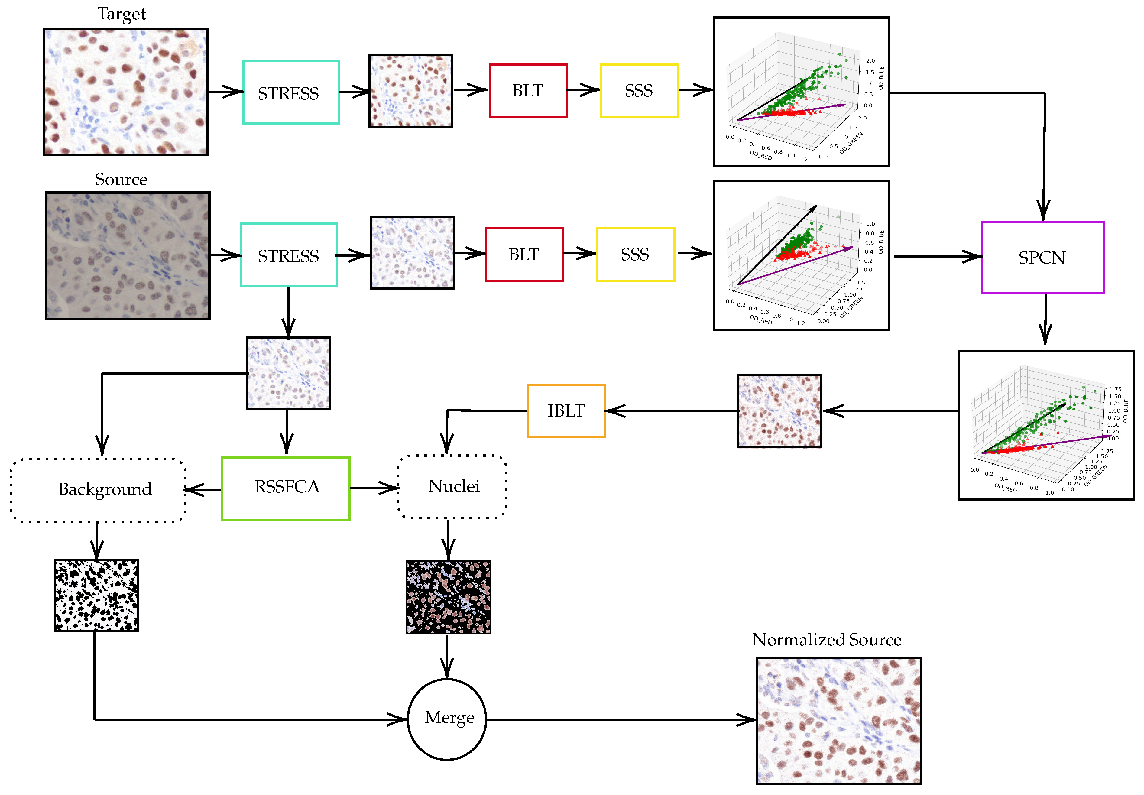 Color Normalization in Breast Cancer Immunohistochemistry Images Based ...