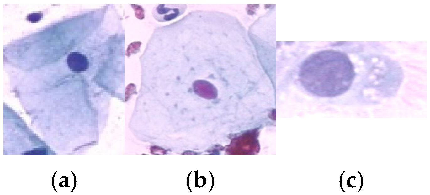 Diagnostics 15 02328 g002