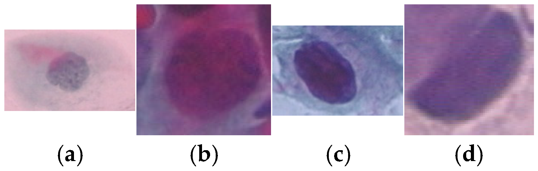 Diagnostics 15 02328 g003