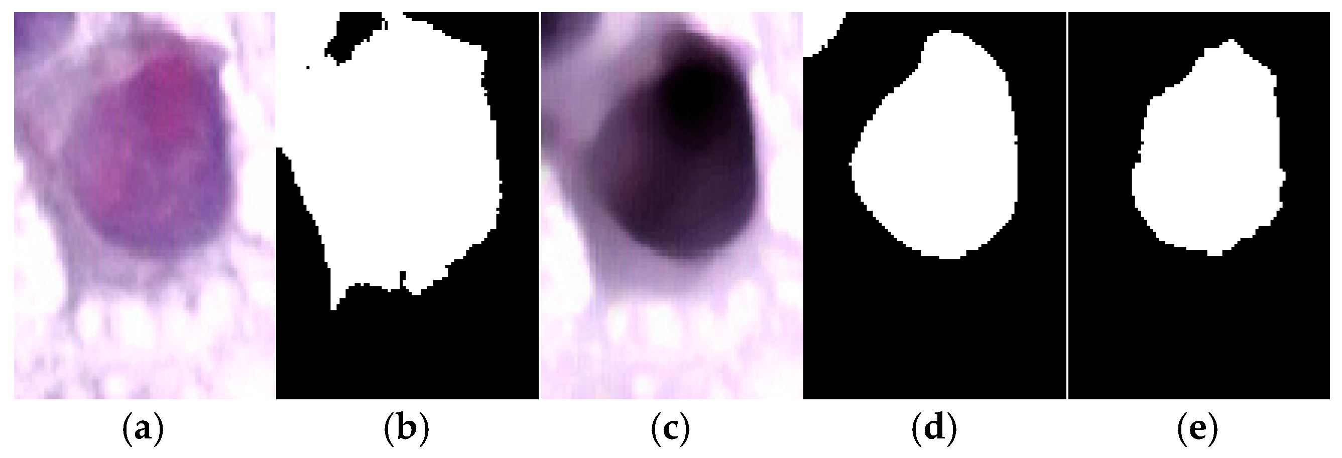 Diagnostics 15 02328 g007