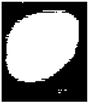 Diagnostics 15 02328 i001 Diagnostics 15 02328 i001