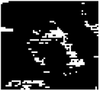 Diagnostics 15 02328 i009 Diagnostics 15 02328 i009