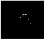 Diagnostics 15 02328 i010 Diagnostics 15 02328 i010