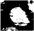 Diagnostics 15 02328 i011 Diagnostics 15 02328 i011