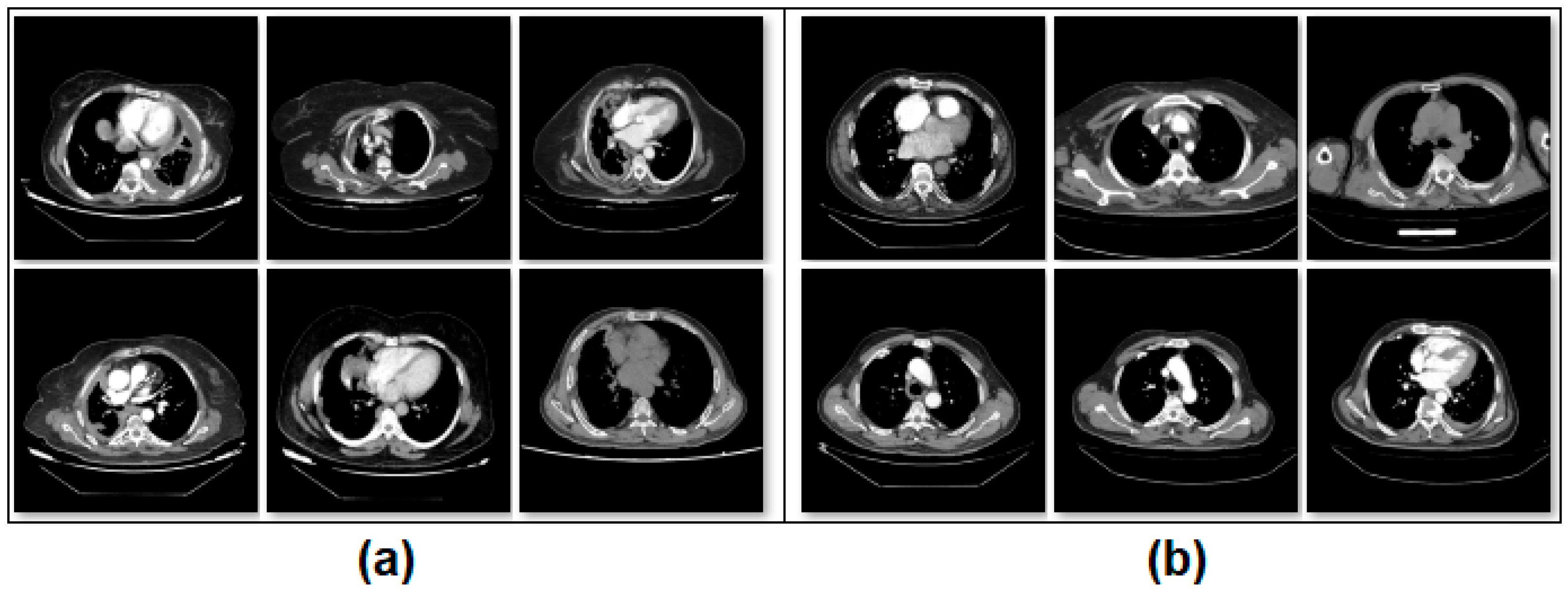 Diagnostics 15 02381 g001