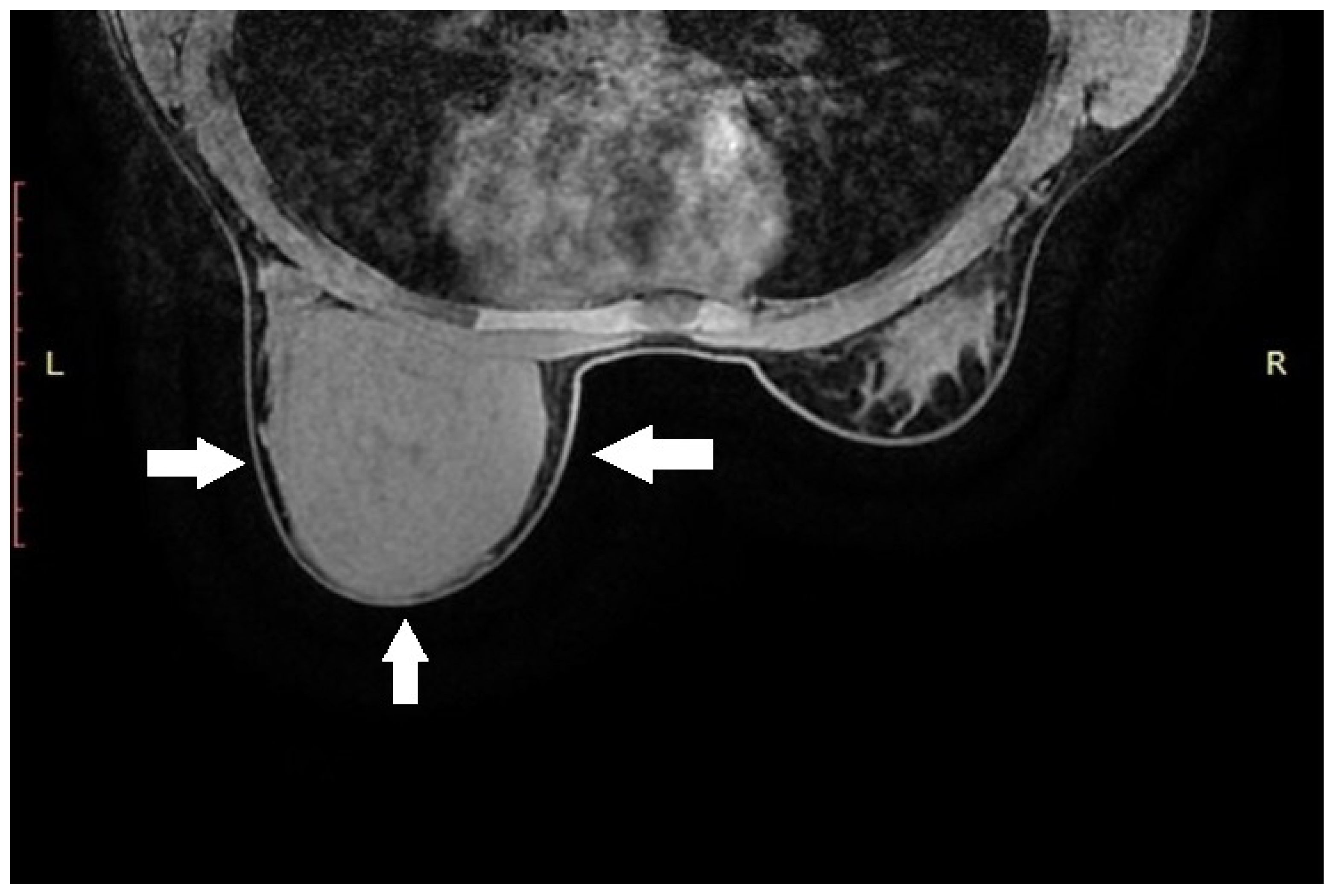 Diagnostics 15 02395 g001
