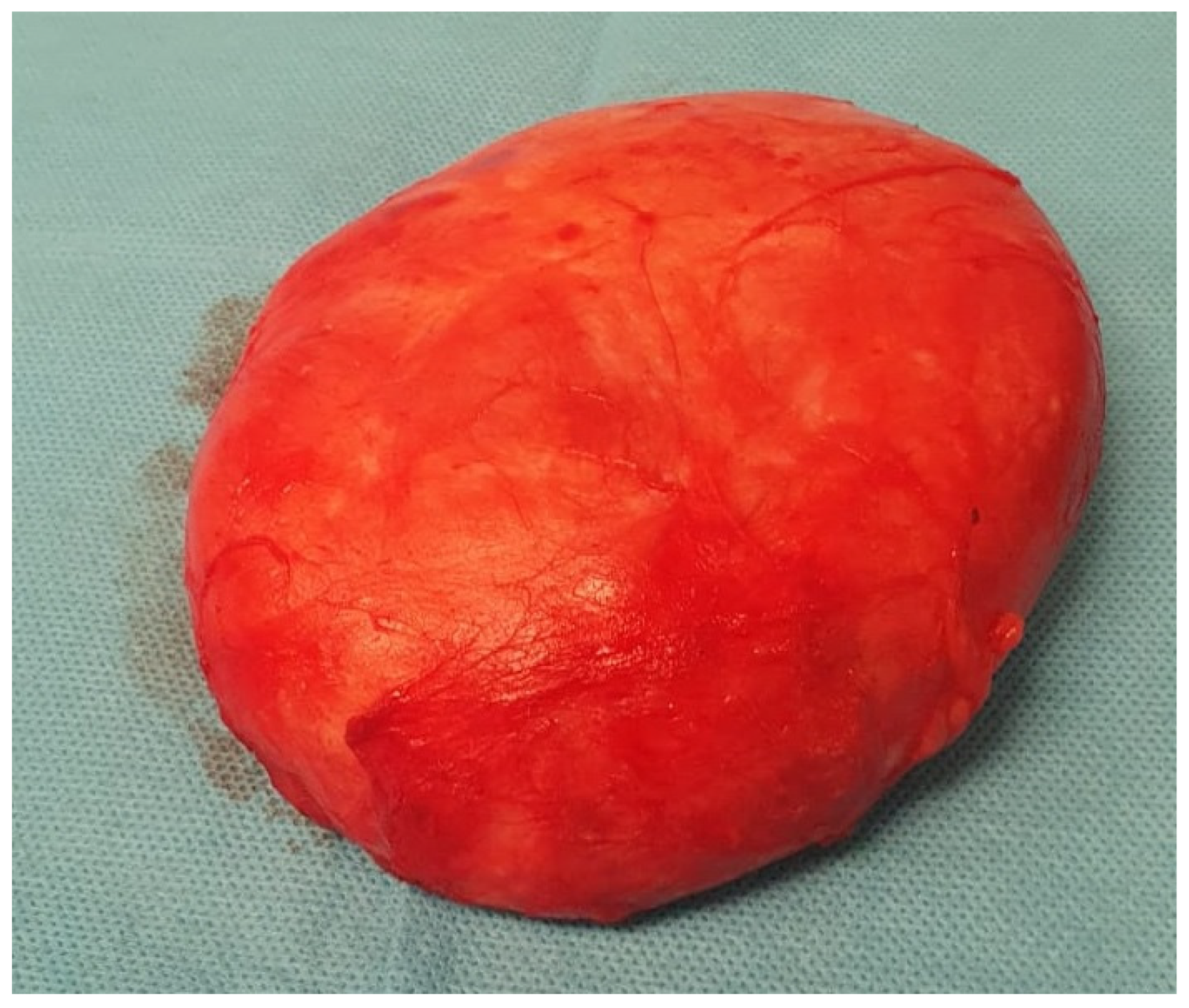 Diagnostics 15 02395 g002