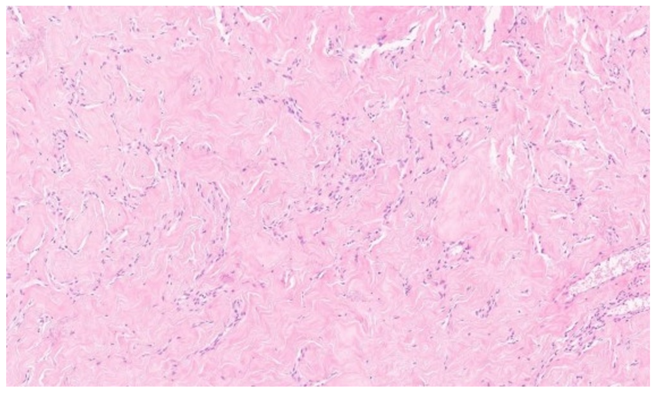 Diagnostics 15 02395 g003