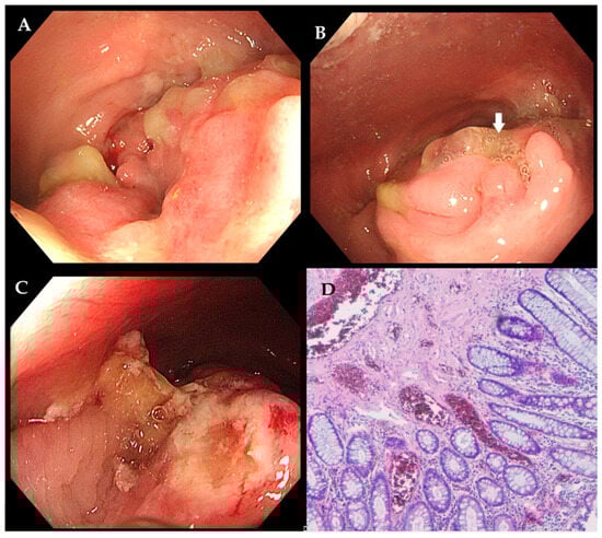 Diagnostics 15 02417 g002