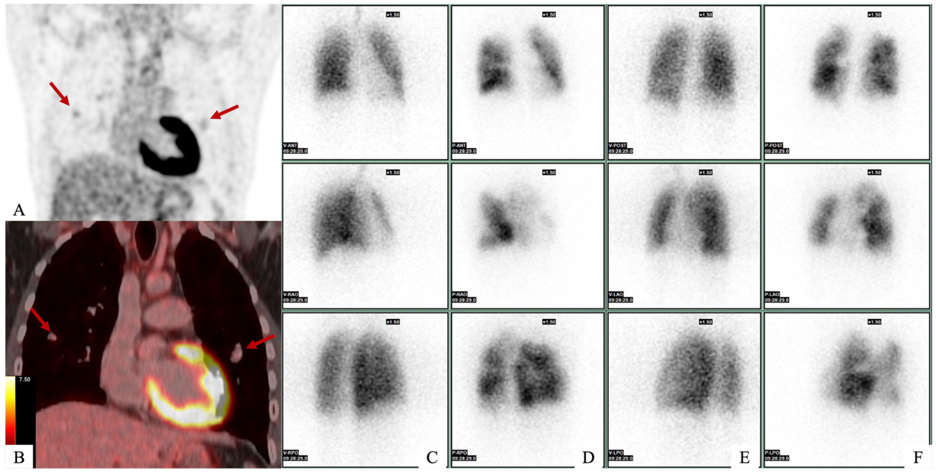 Diagnostics 15 02420 g001