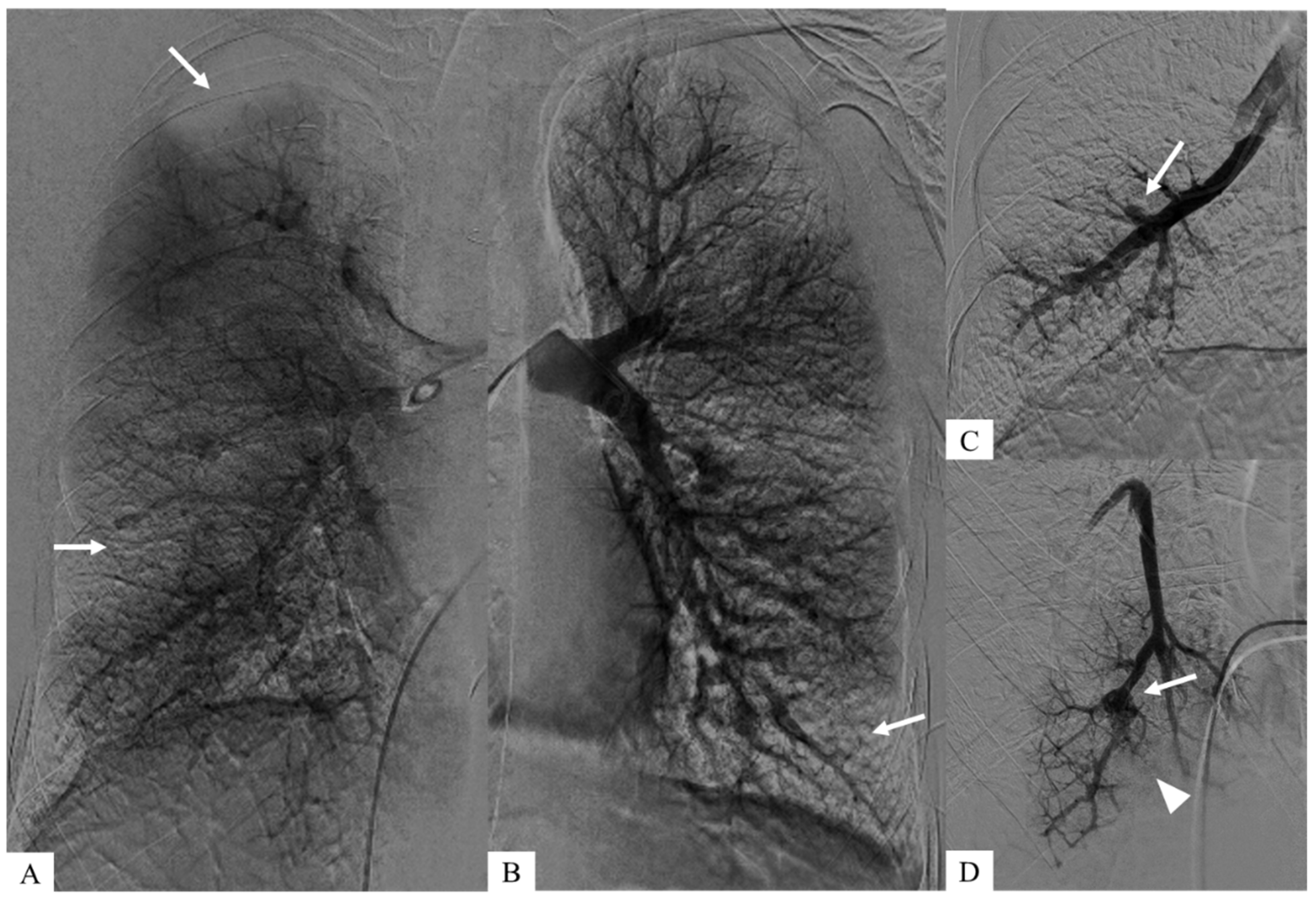Diagnostics 15 02420 g002