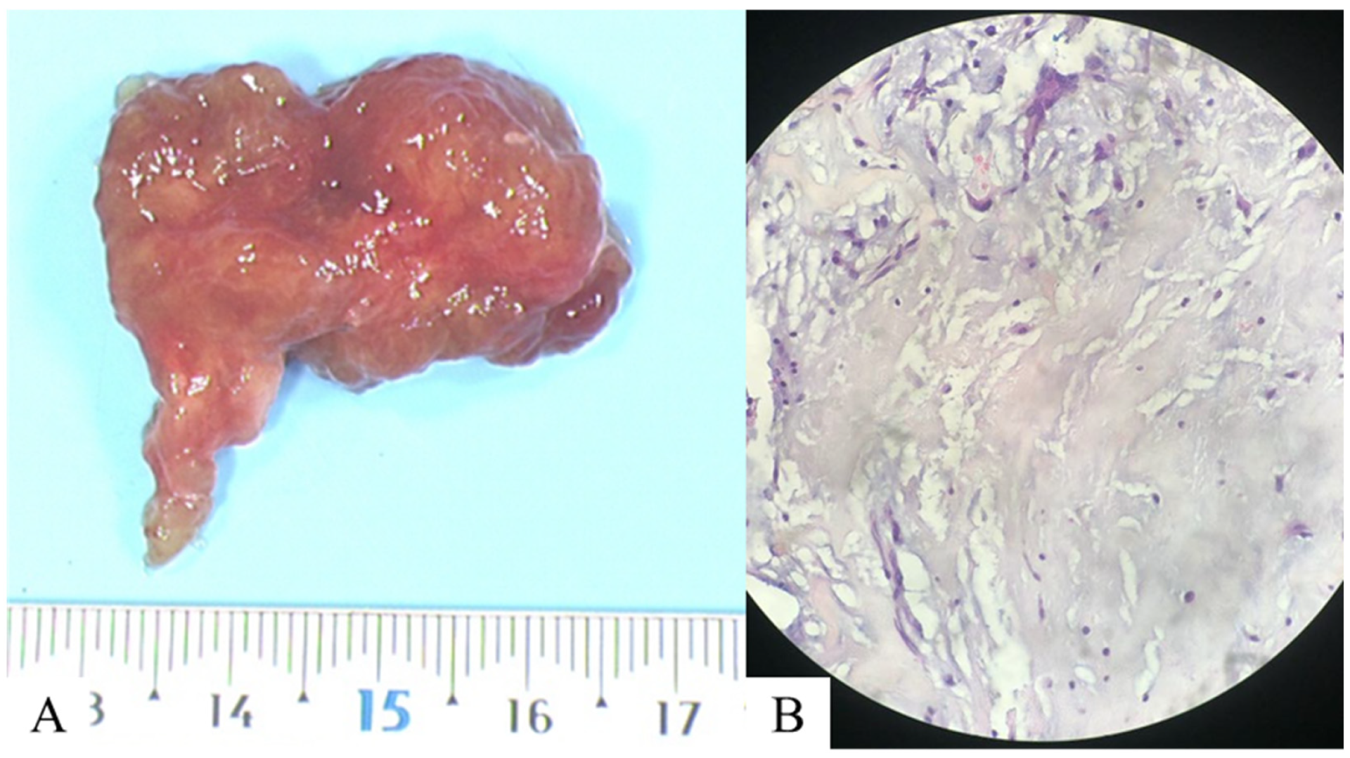Diagnostics 15 02420 g004