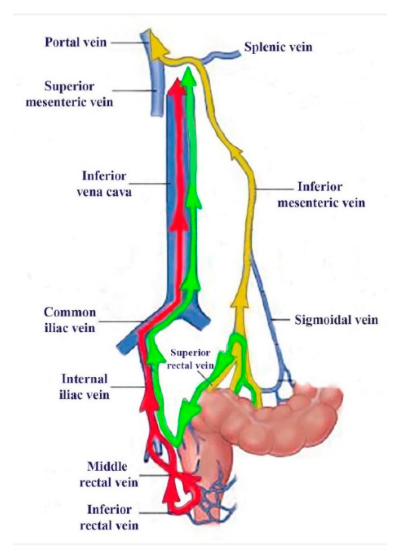Diagnostics 15 02444 g004 Diagnostics 15 02444 g004