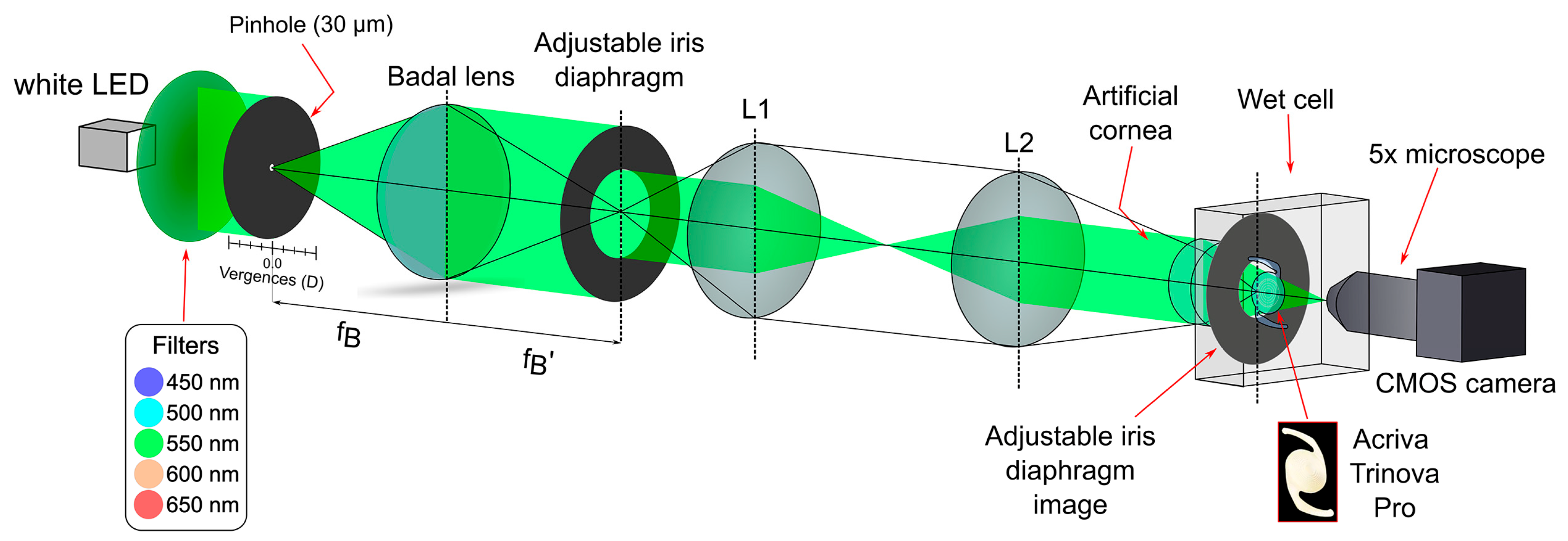 Diagnostics 15 02446 g001 Diagnostics 15 02446 g001