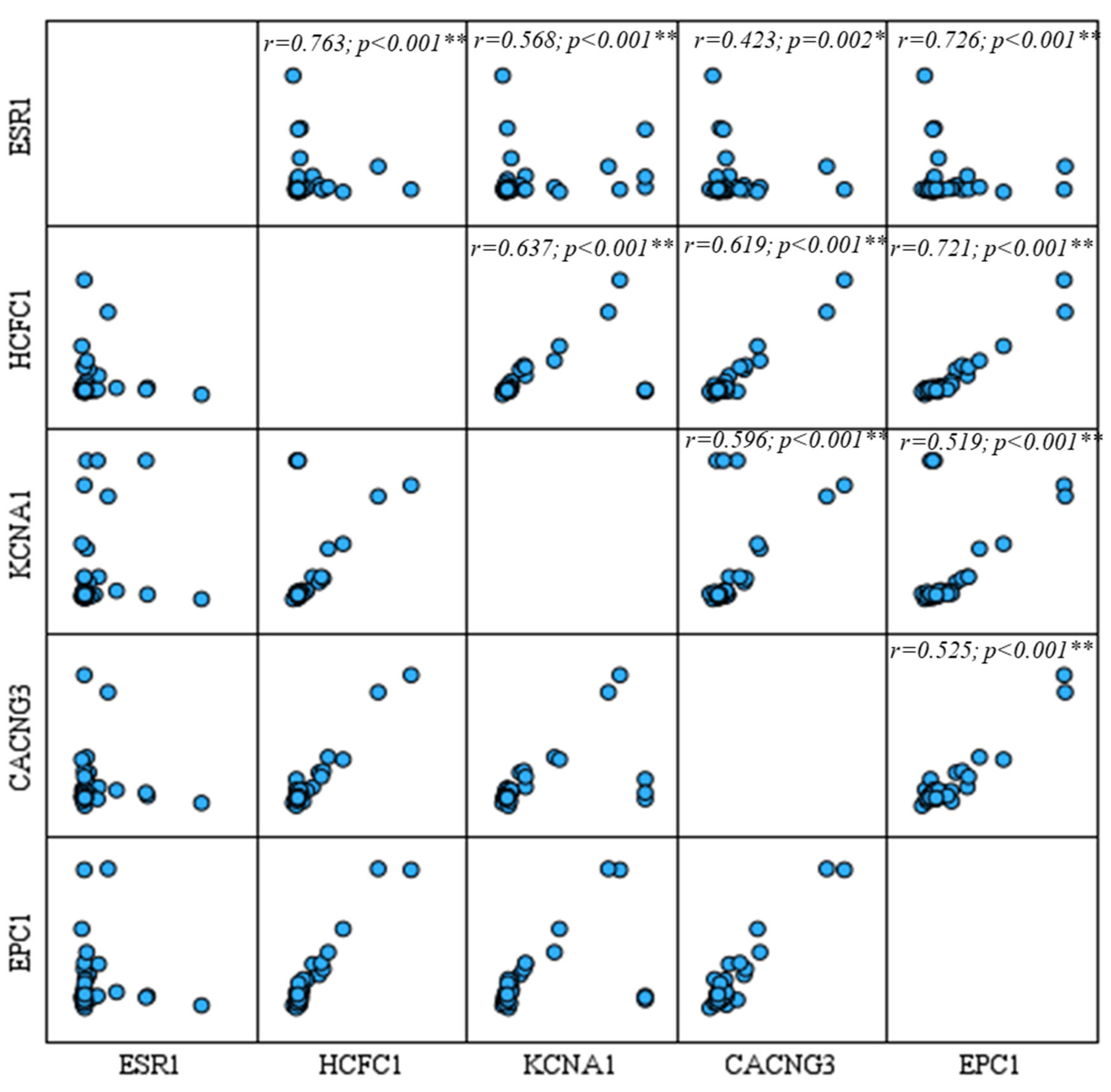 Diagnostics 15 02479 g005