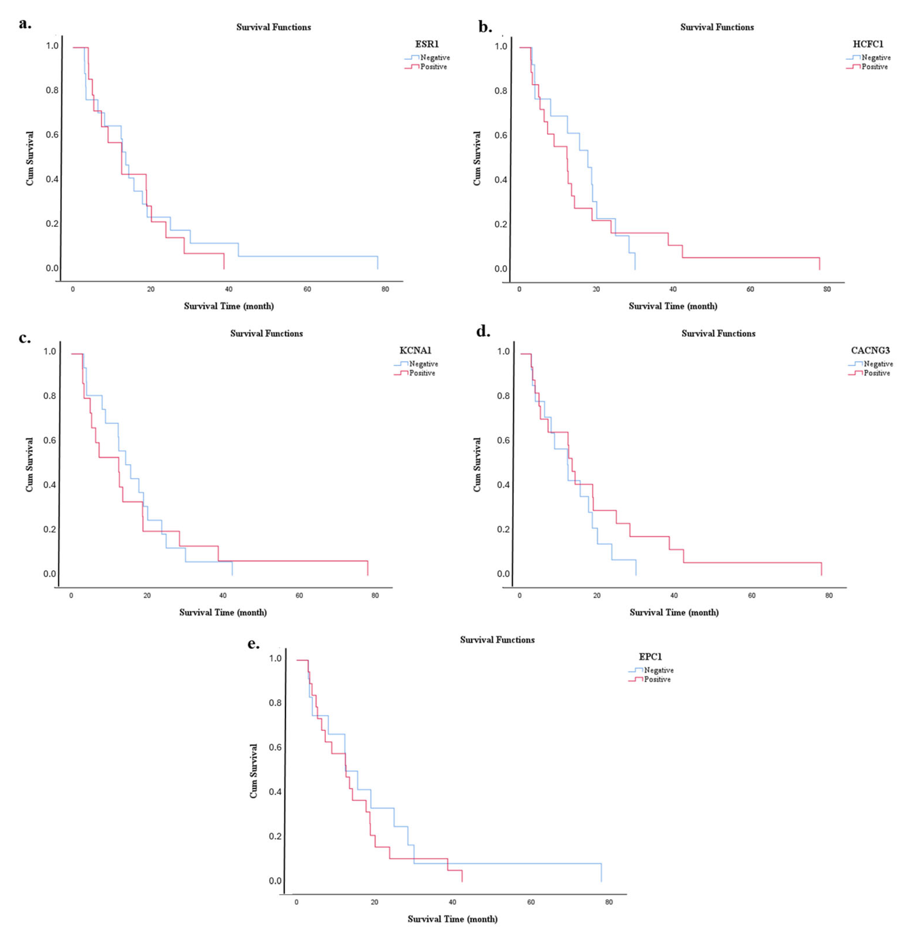 Diagnostics 15 02479 g008