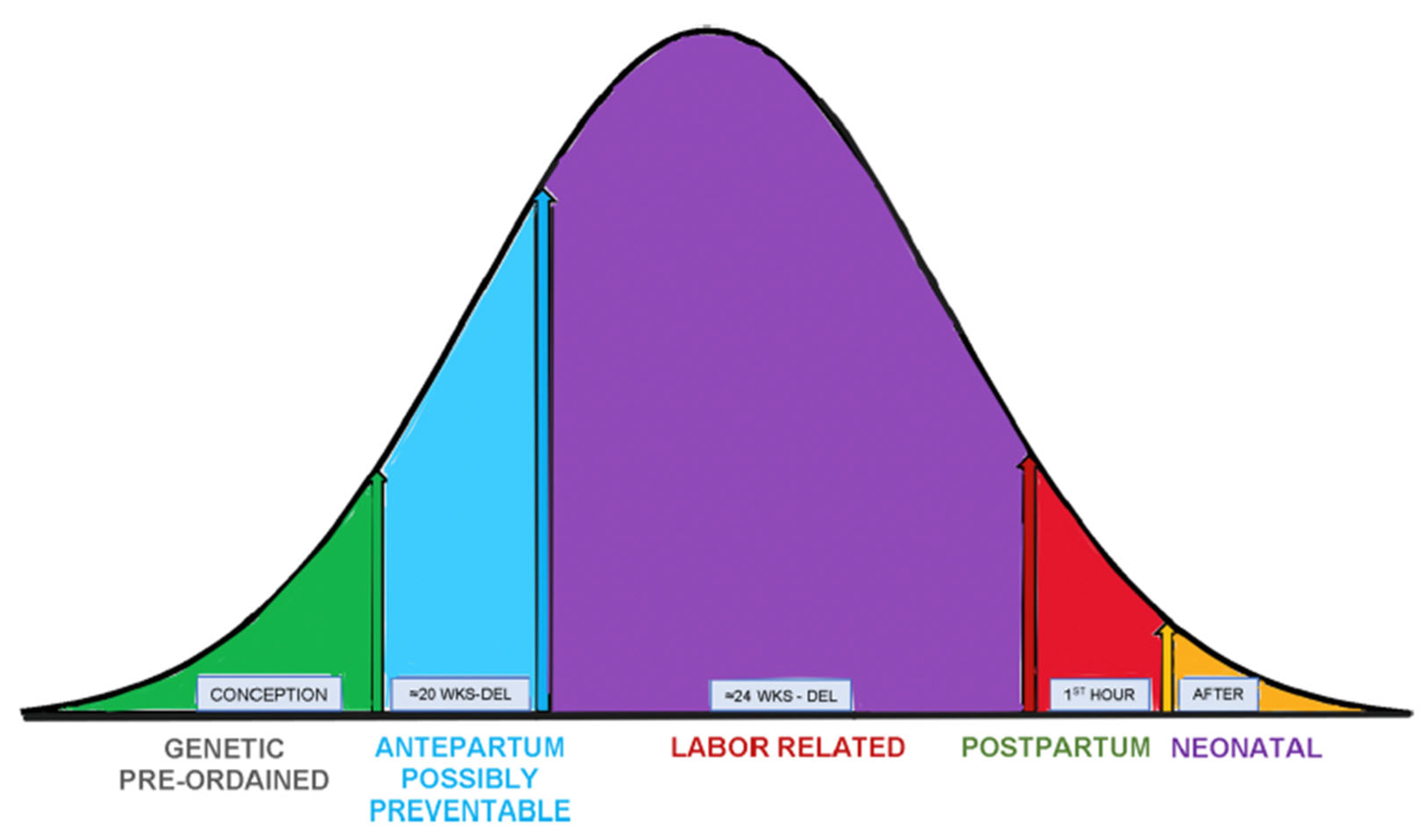 Diagnostics 15 02482 g005
