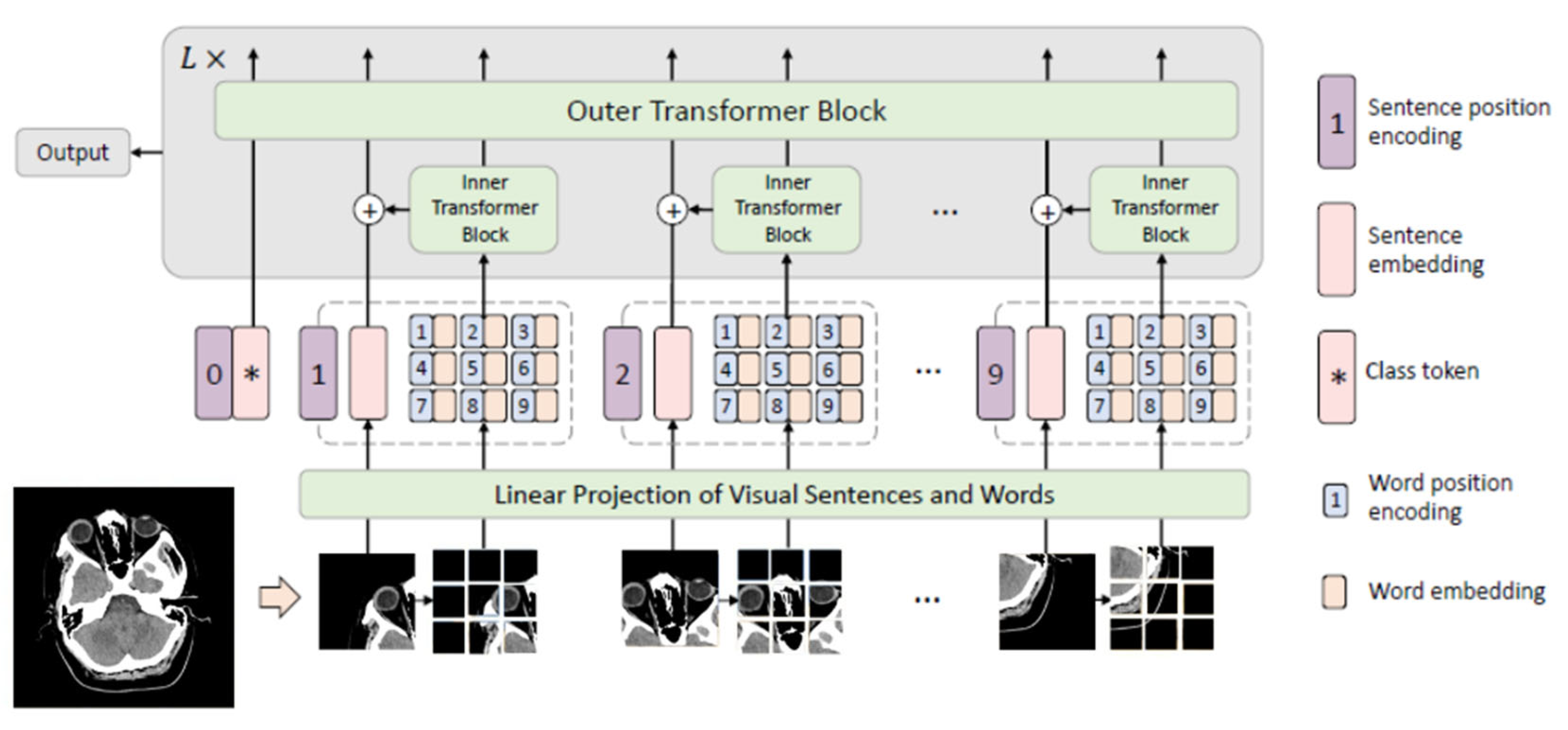 Diagnostics 15 02486 g002