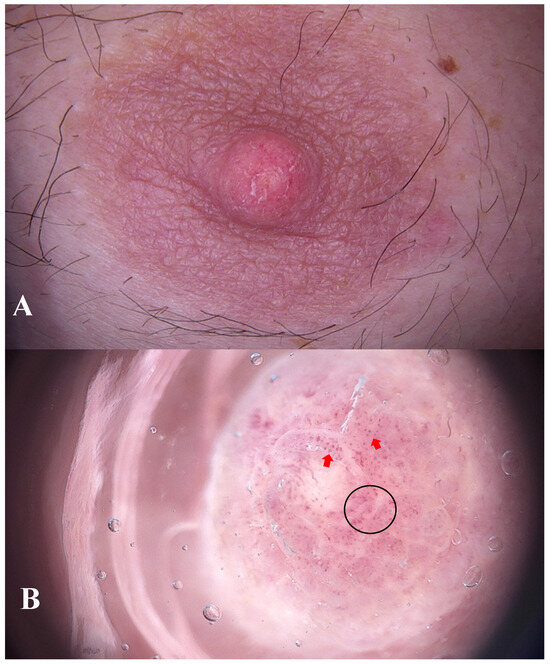 Diagnostics 15 02489 g001