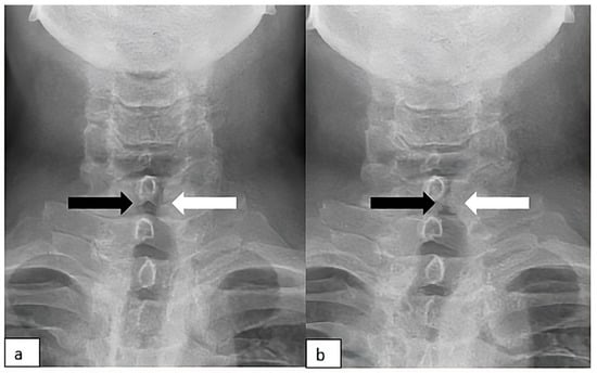 Diagnostics 15 02502 g001