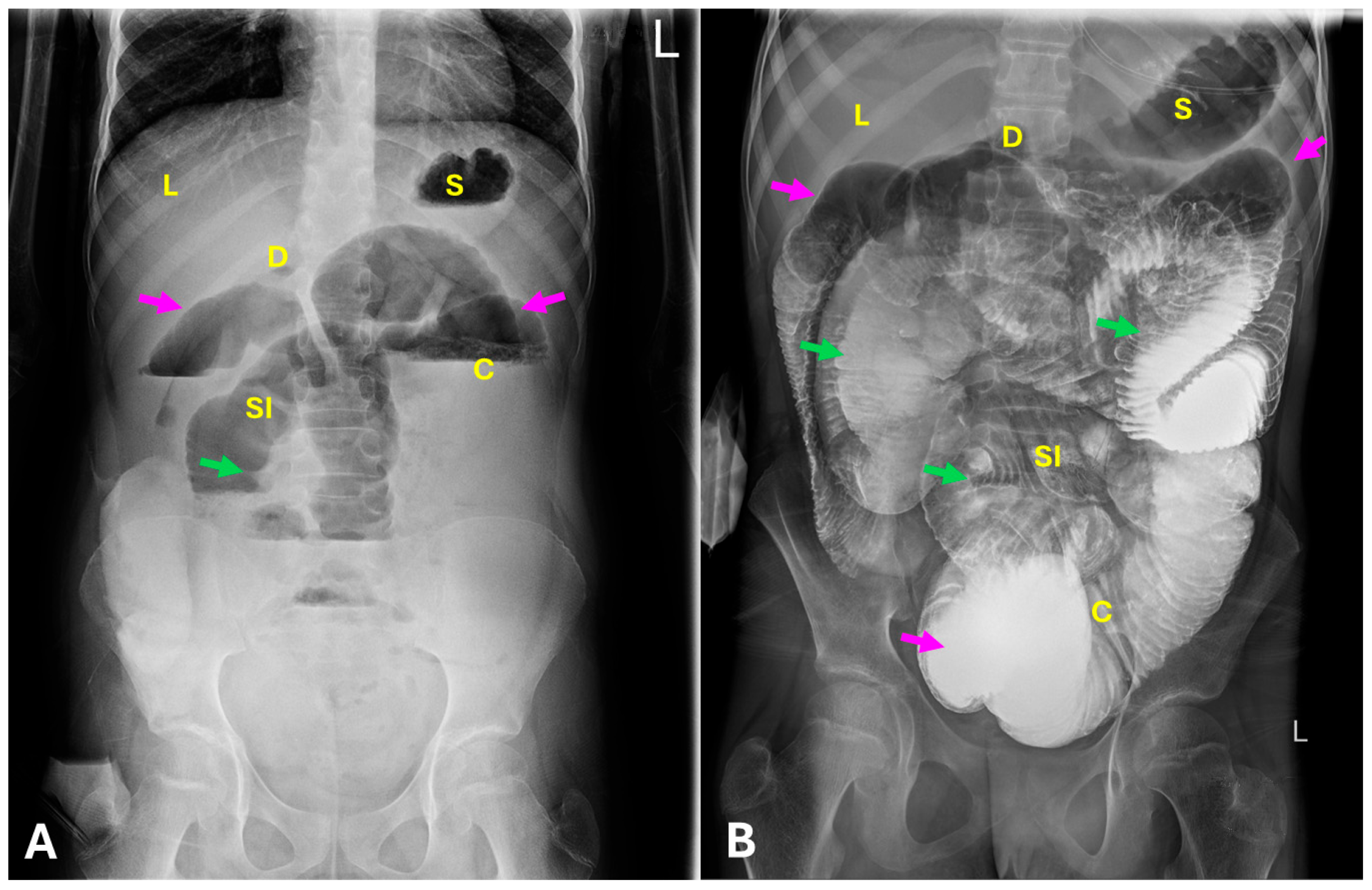 Diagnostics 15 02503 g001