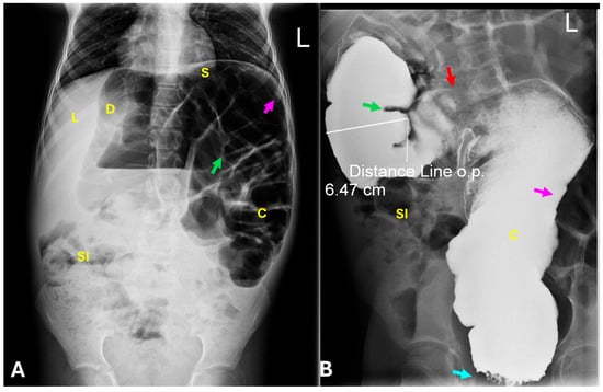 Diagnostics 15 02503 g003