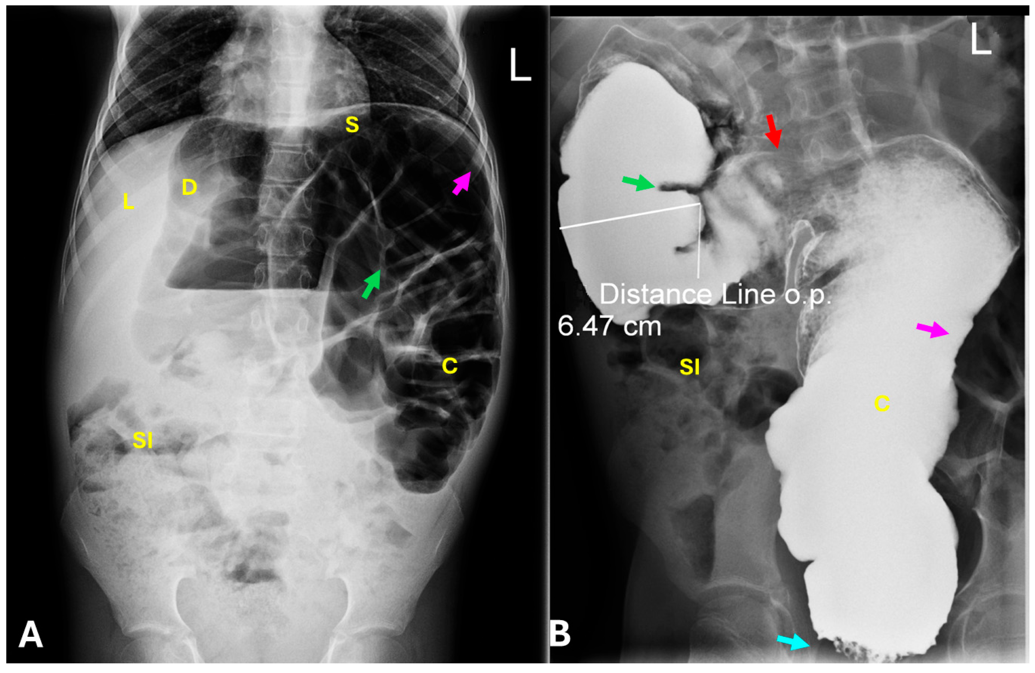 Diagnostics 15 02503 g003