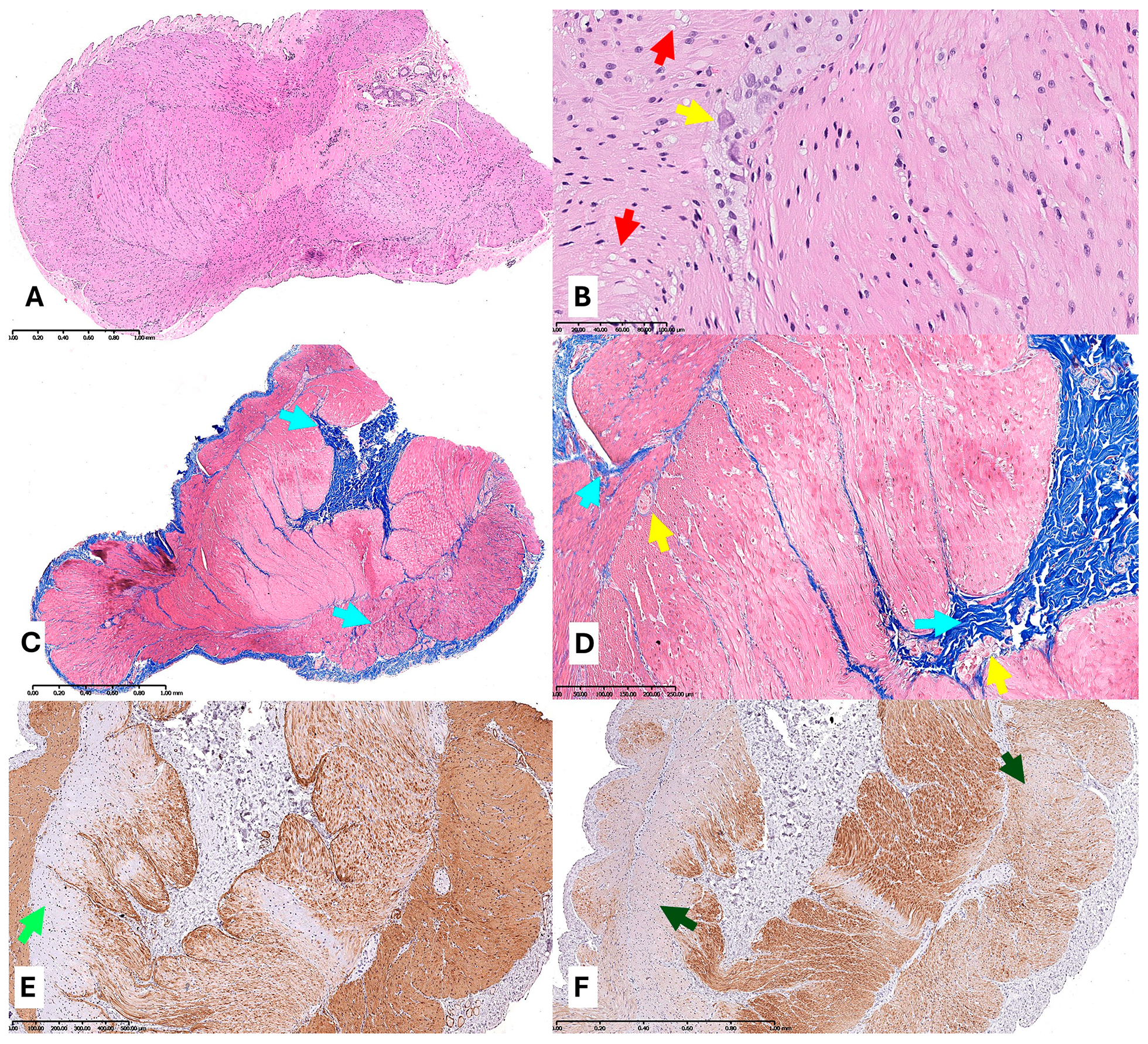 Diagnostics 15 02503 g004