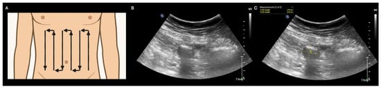 Diagnostics 15 02511 g001