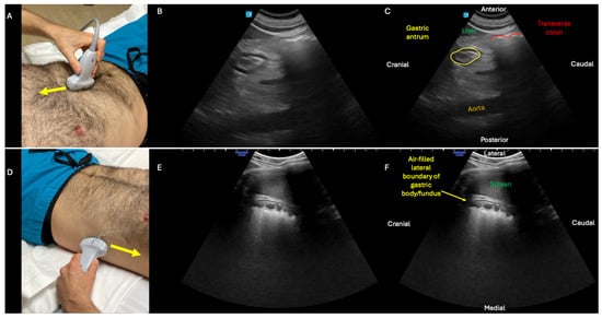 Diagnostics 15 02511 g002