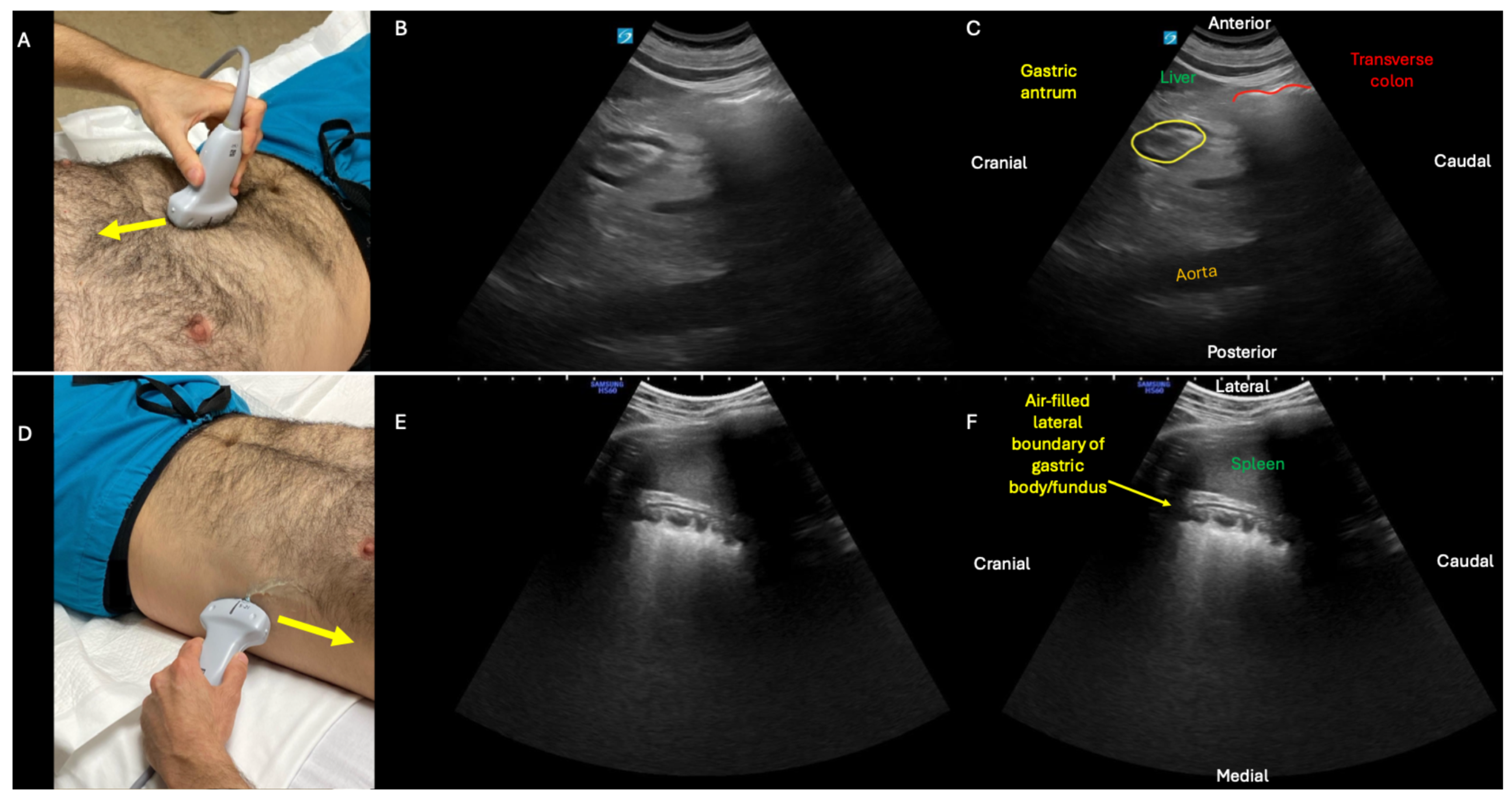 Diagnostics 15 02511 g002 Diagnostics 15 02511 g002