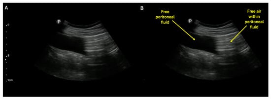Diagnostics 15 02511 g005