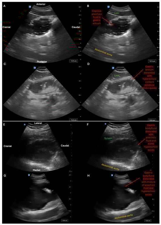 Diagnostics 15 02511 g007