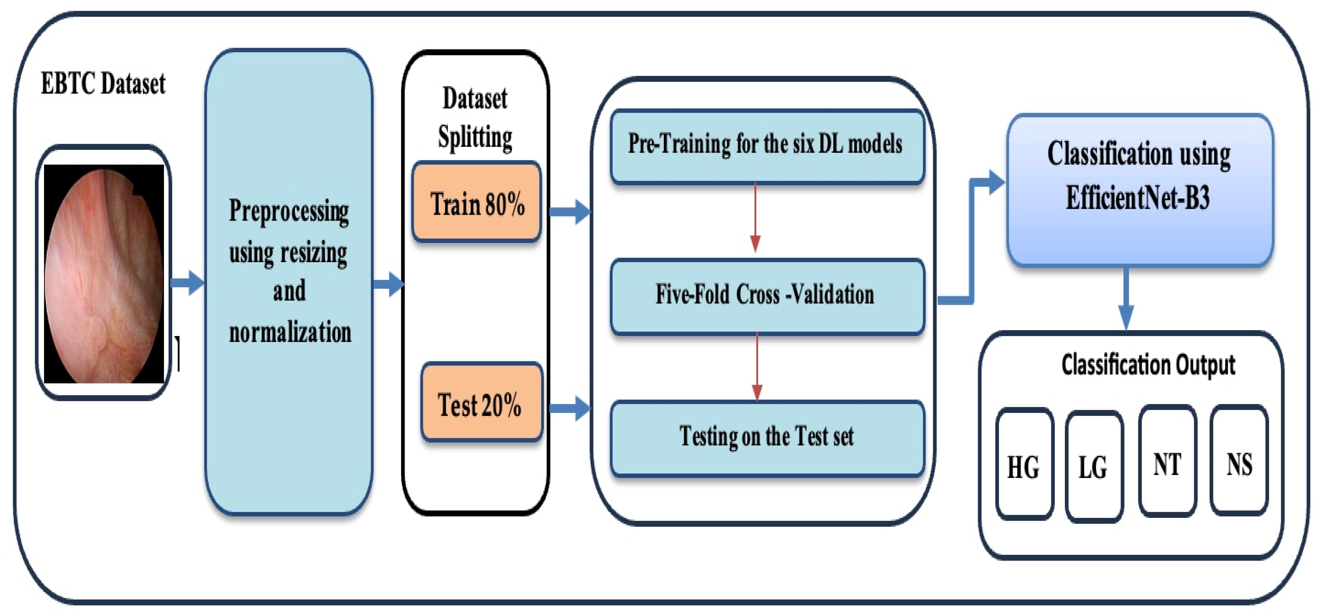 Diagnostics 15 02515 g001 Diagnostics 15 02515 g001