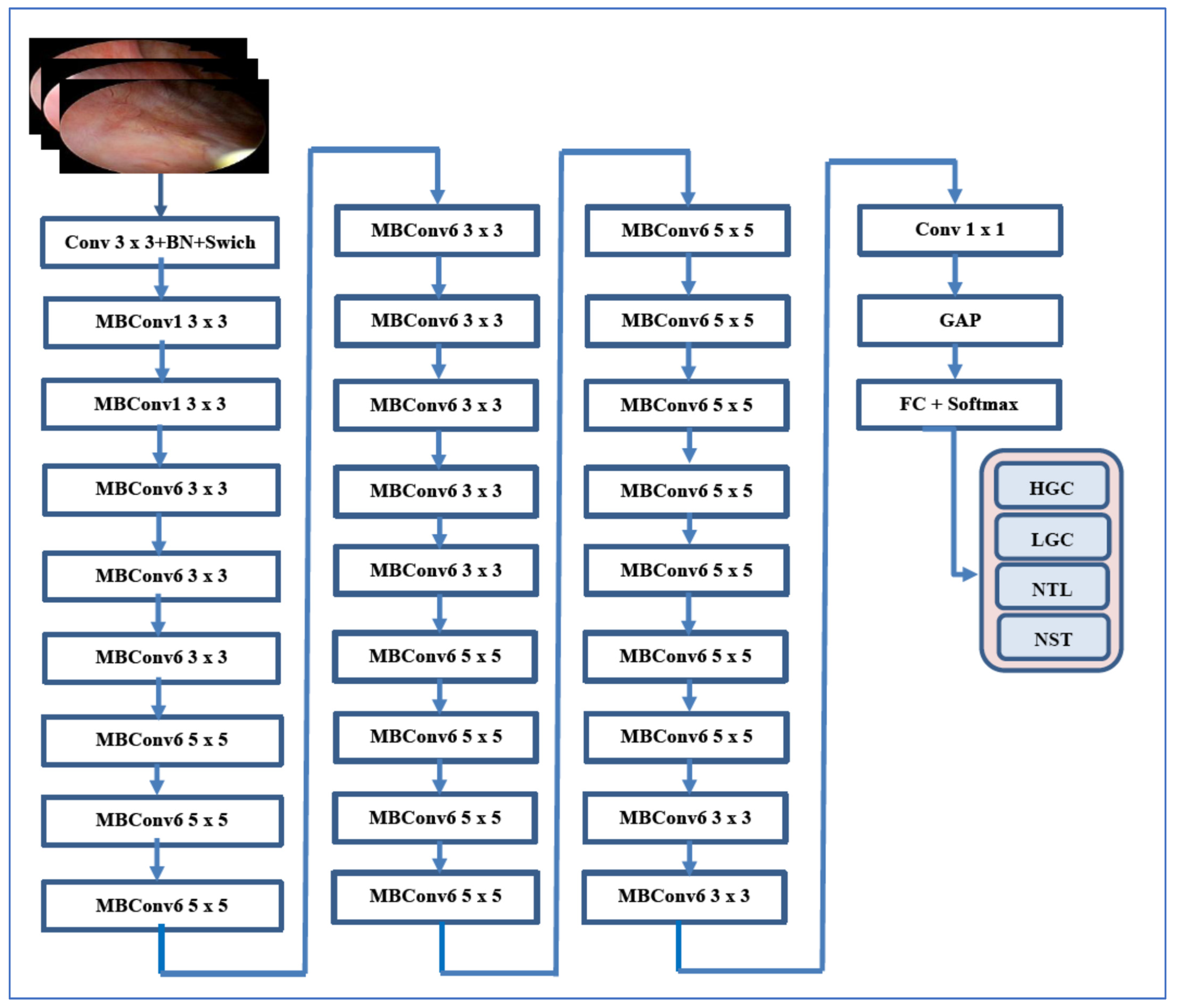 Diagnostics 15 02515 g002 Diagnostics 15 02515 g002