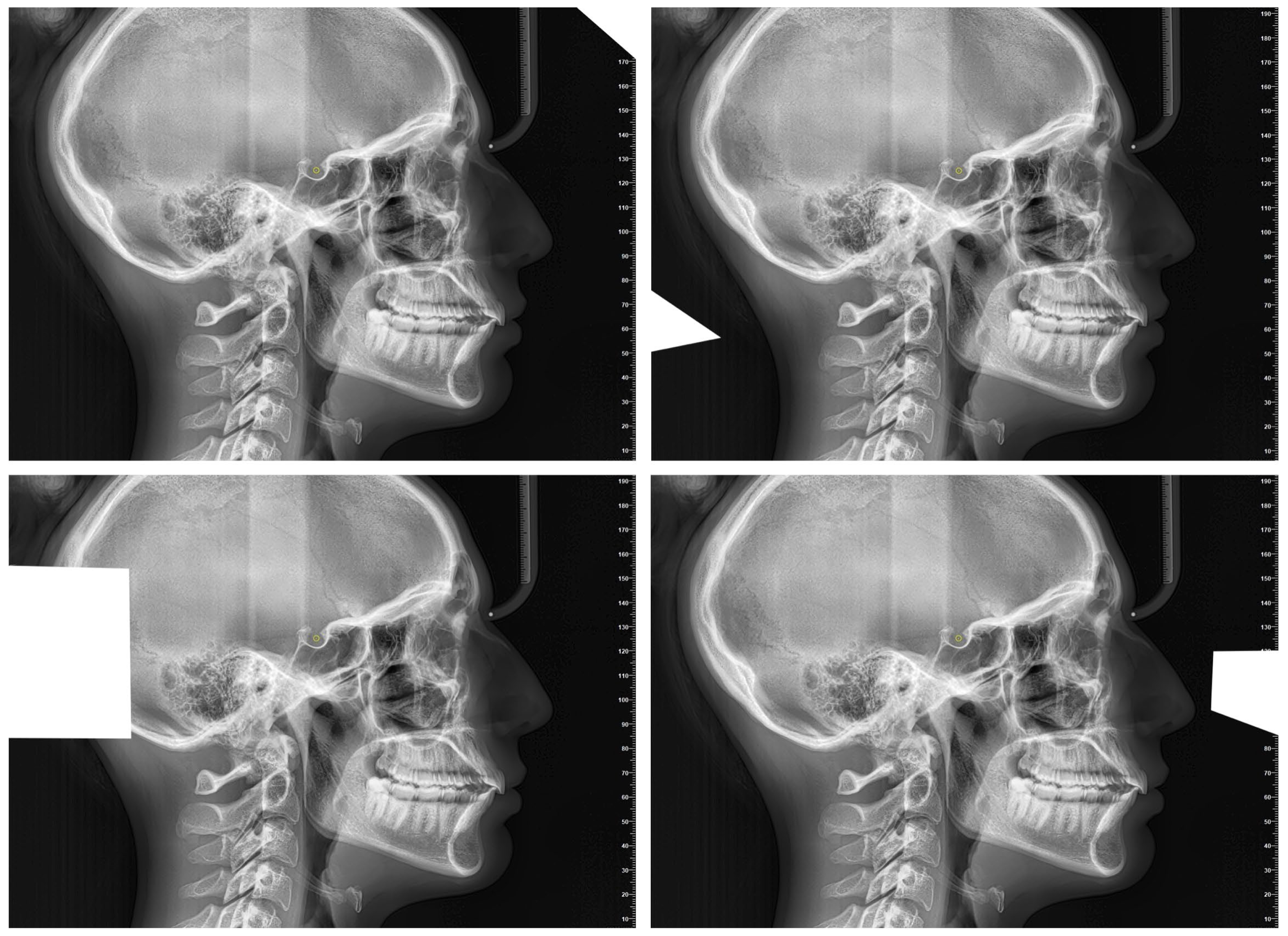 Diagnostics 15 02521 g002