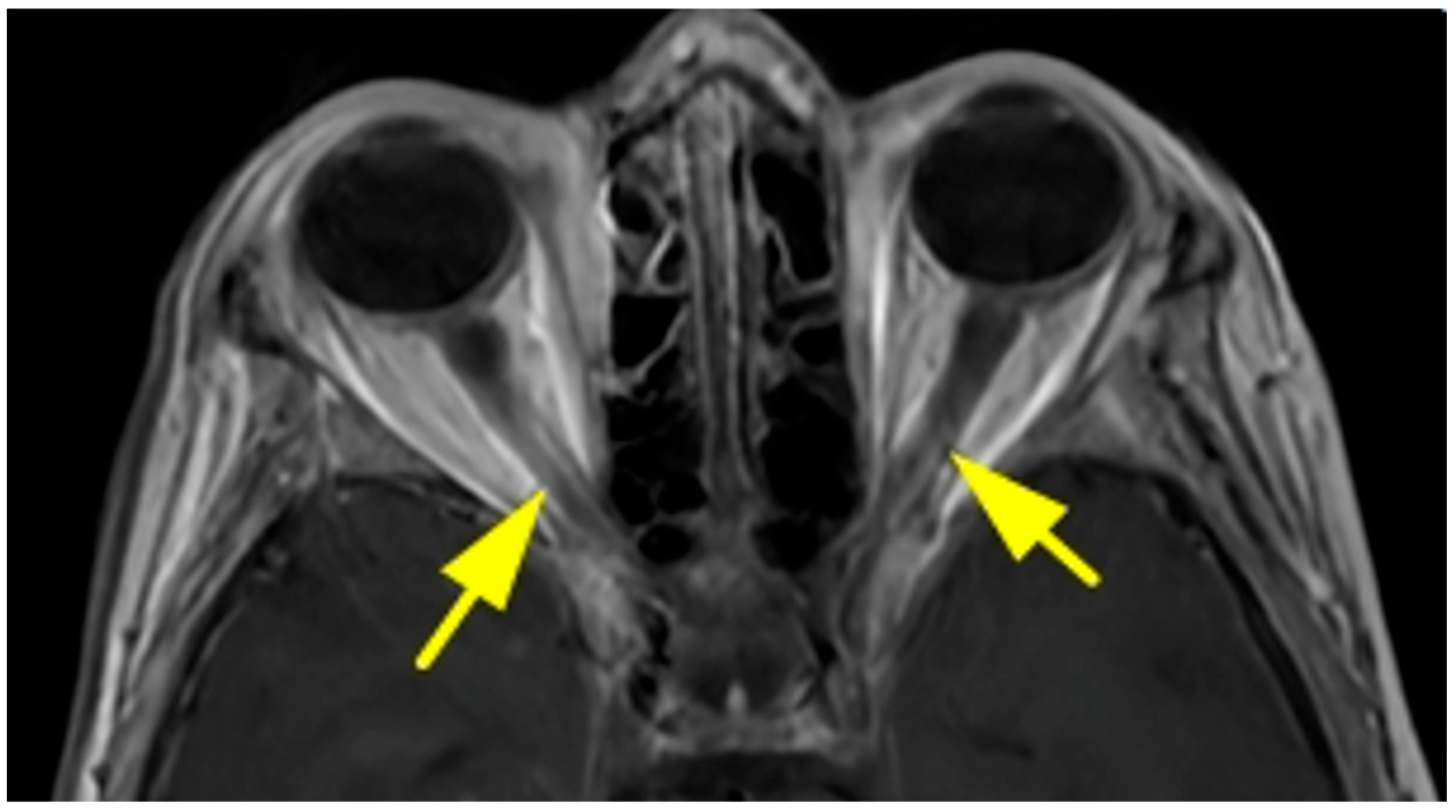 Diagnostics 15 02542 g002