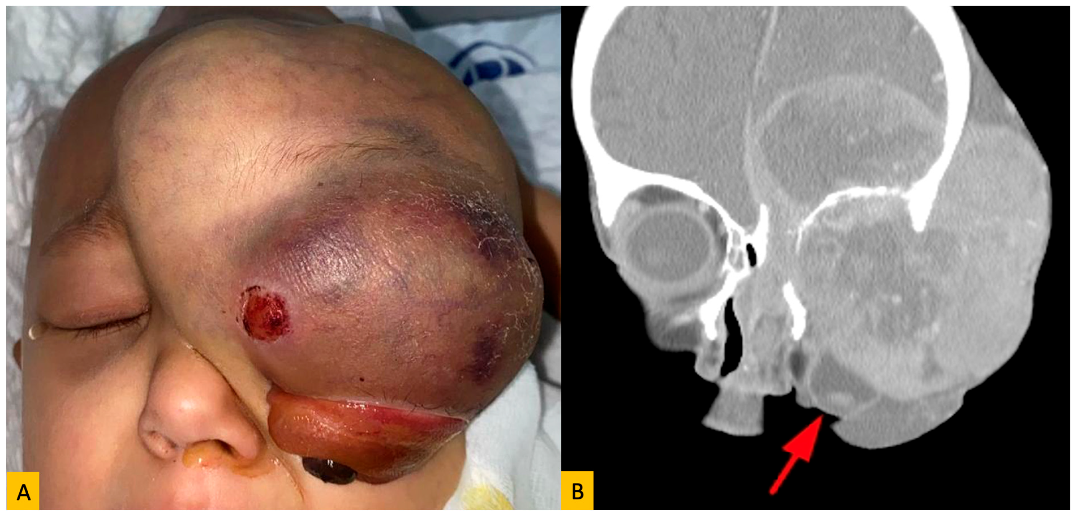 Diagnostics 15 02542 g003