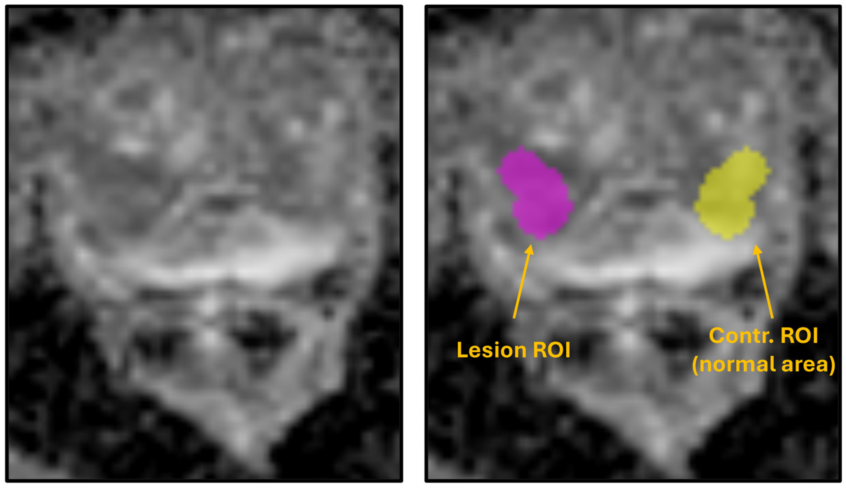 Diagnostics 15 02546 g001