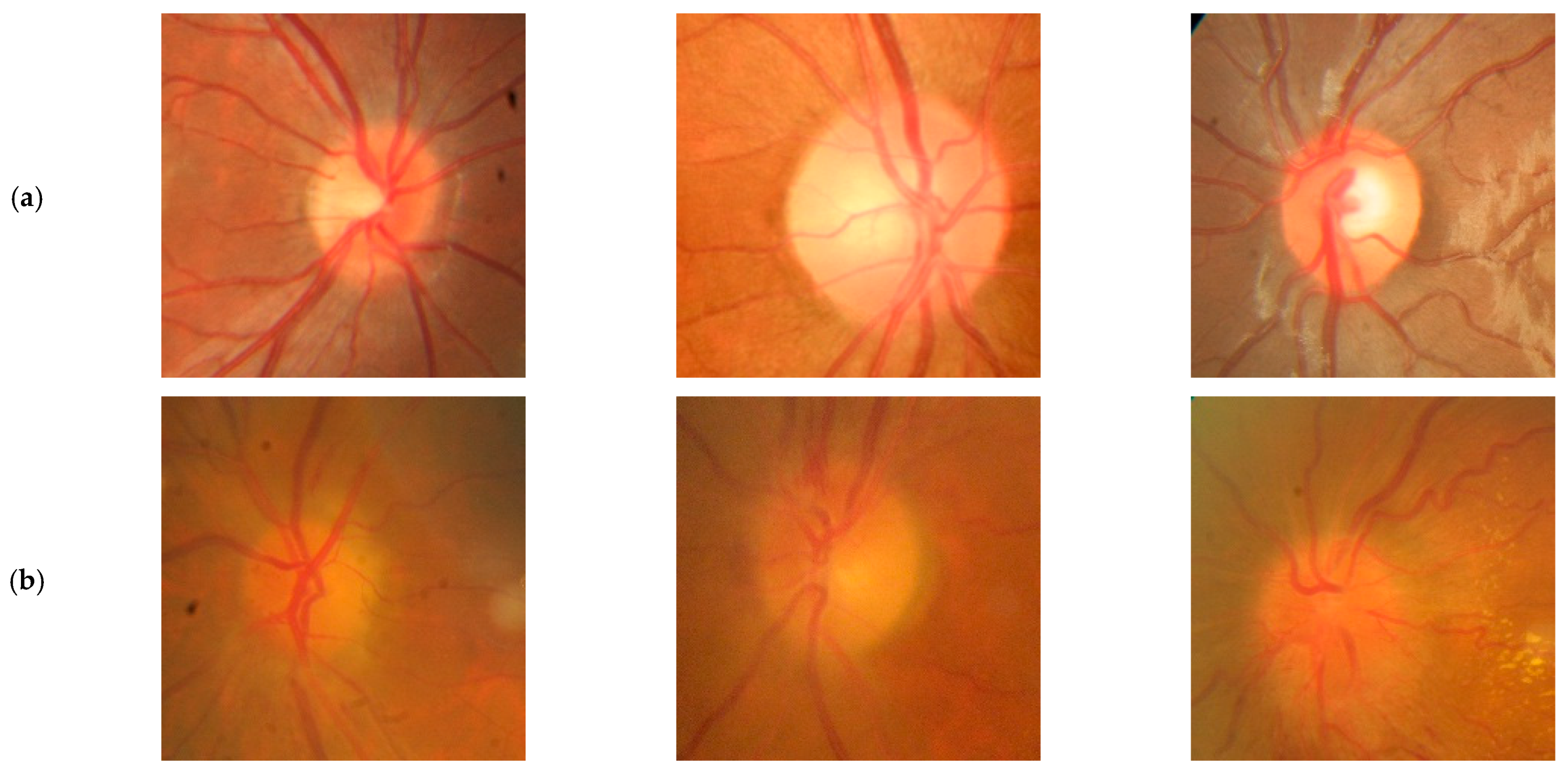 Diagnostics 15 02547 g001