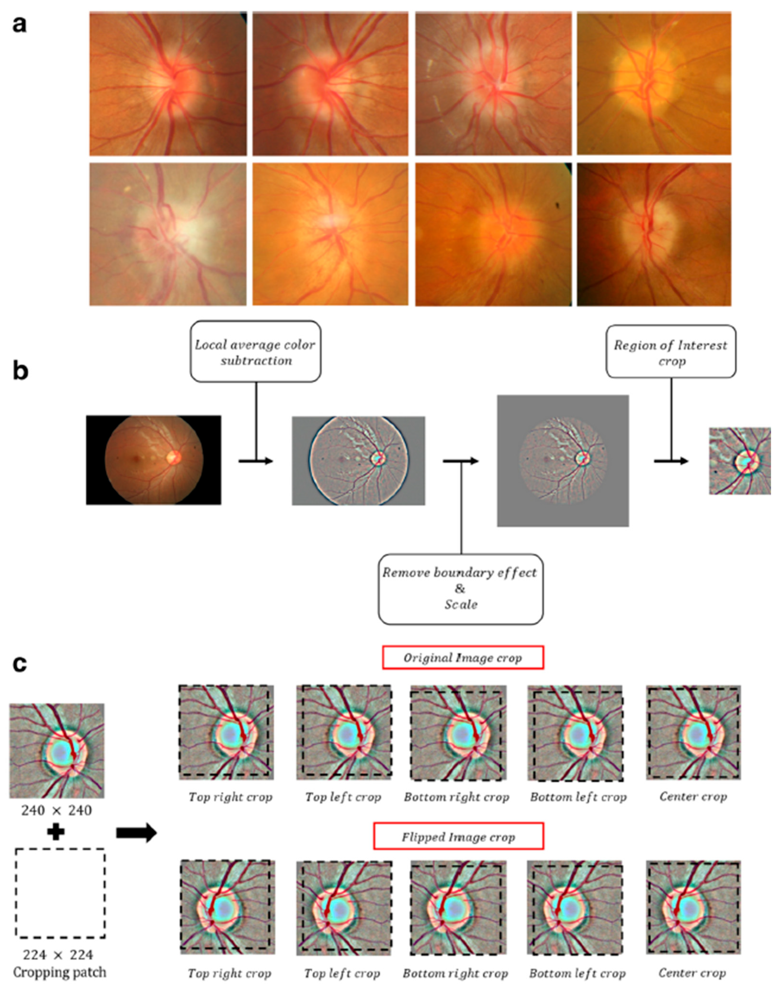 Diagnostics 15 02547 g002