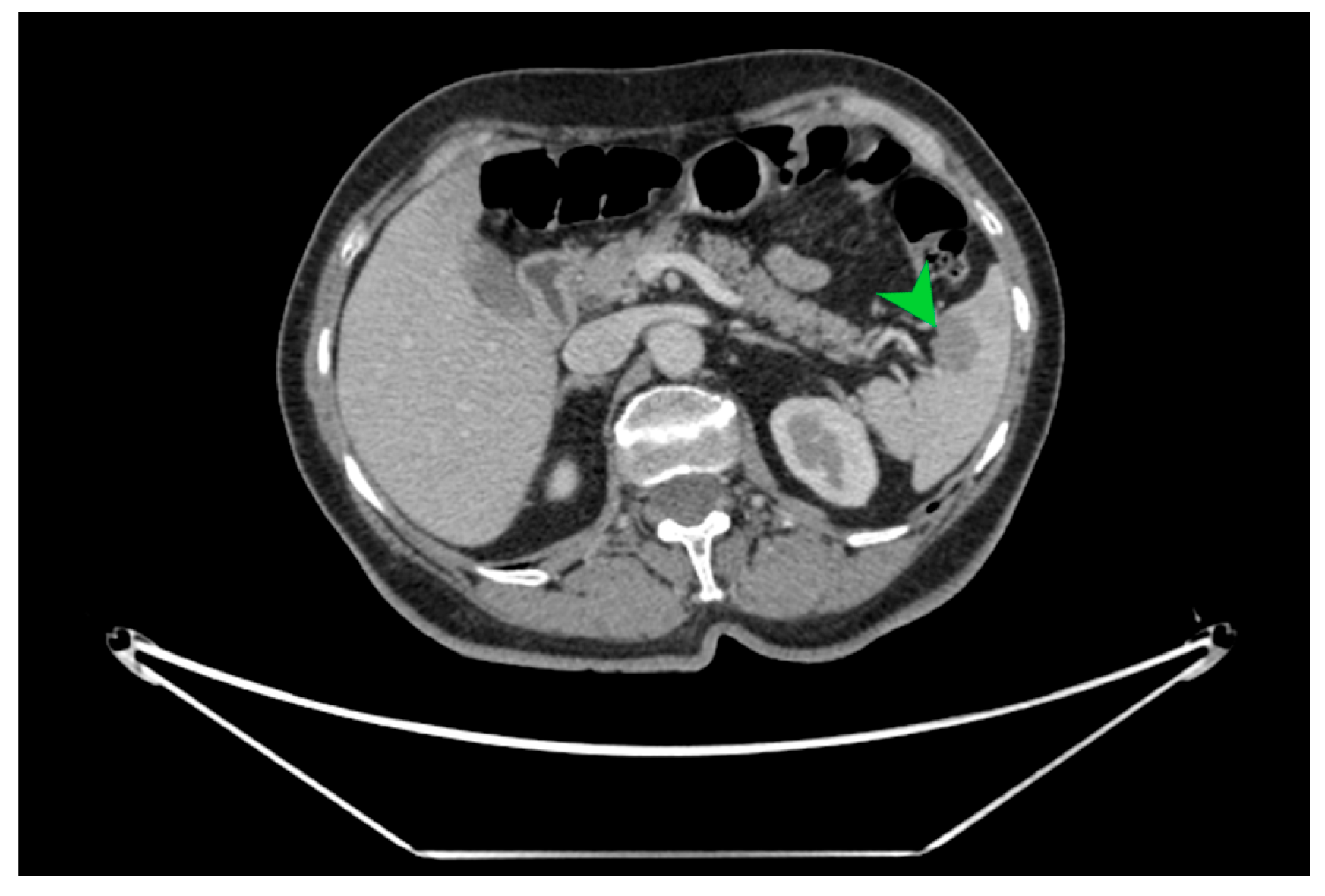 Diagnostics 15 02570 g002