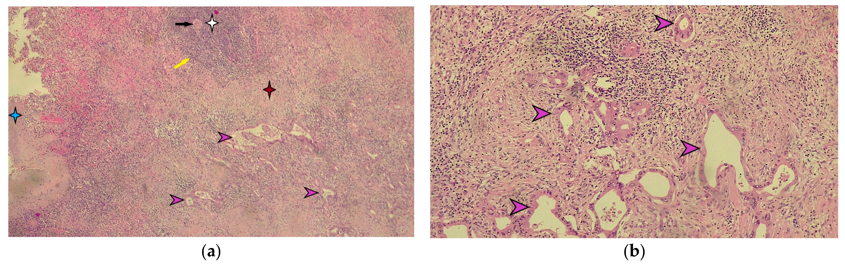 Diagnostics 15 02570 g006