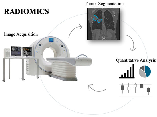 Diagnostics 15 02586 g004