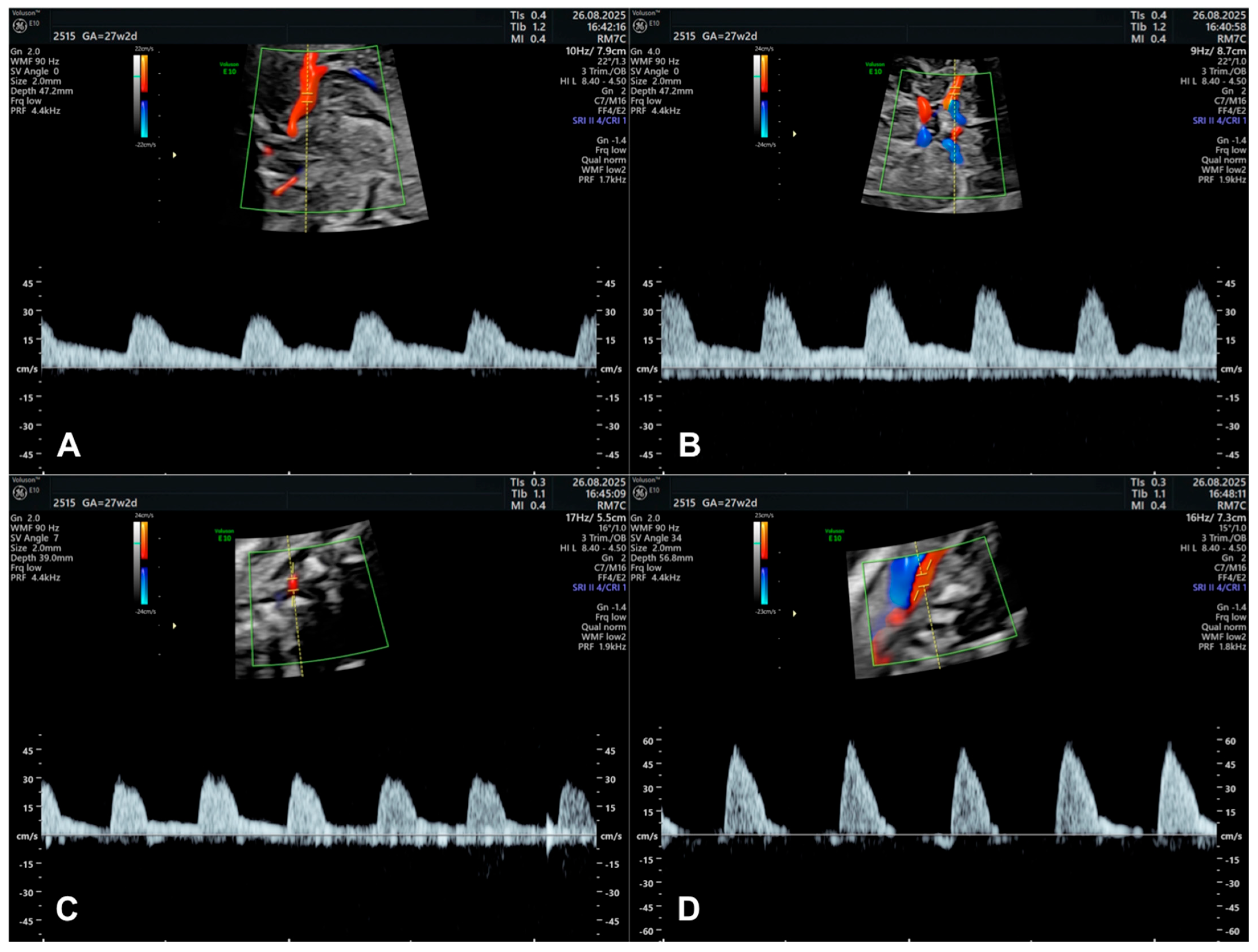 Diagnostics 15 02592 g004
