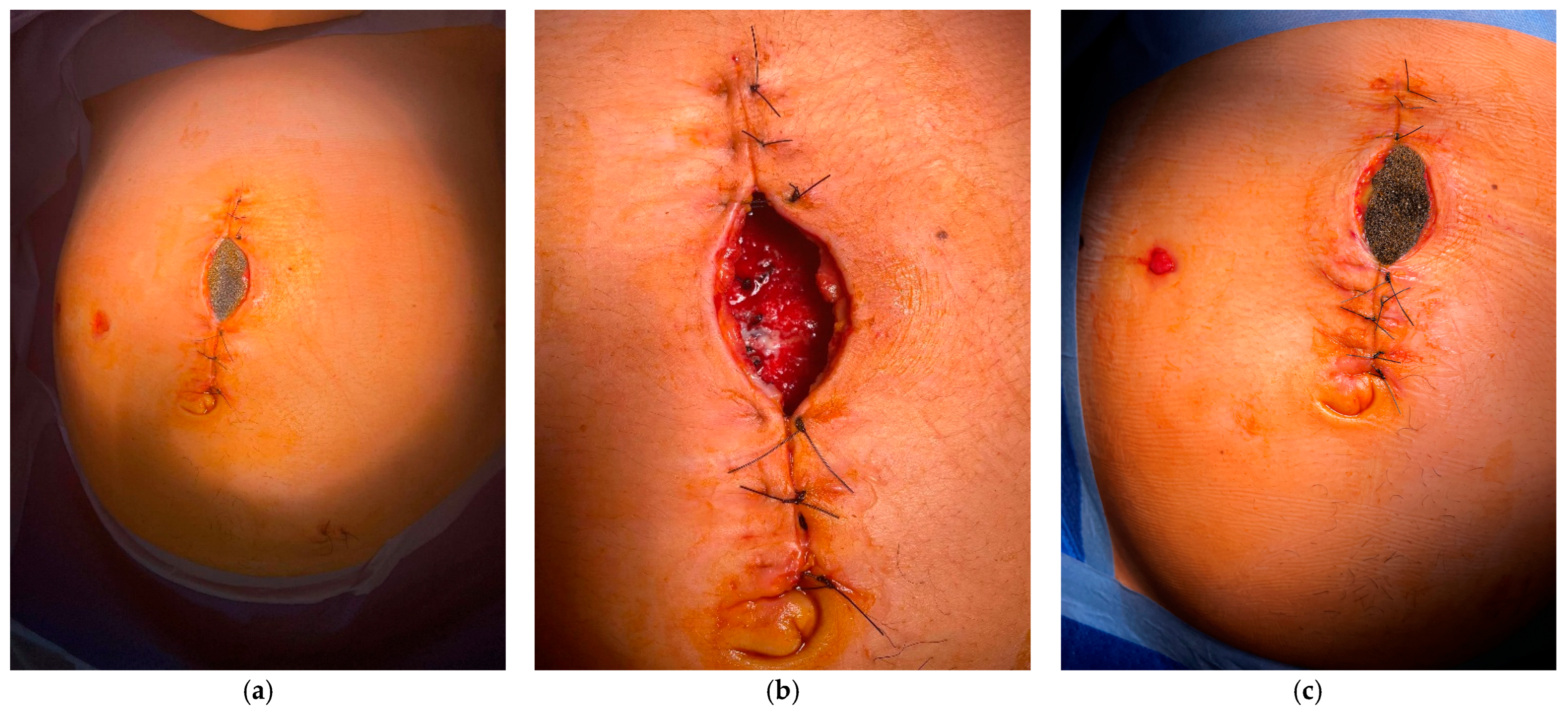 Diagnostics 15 02593 g002