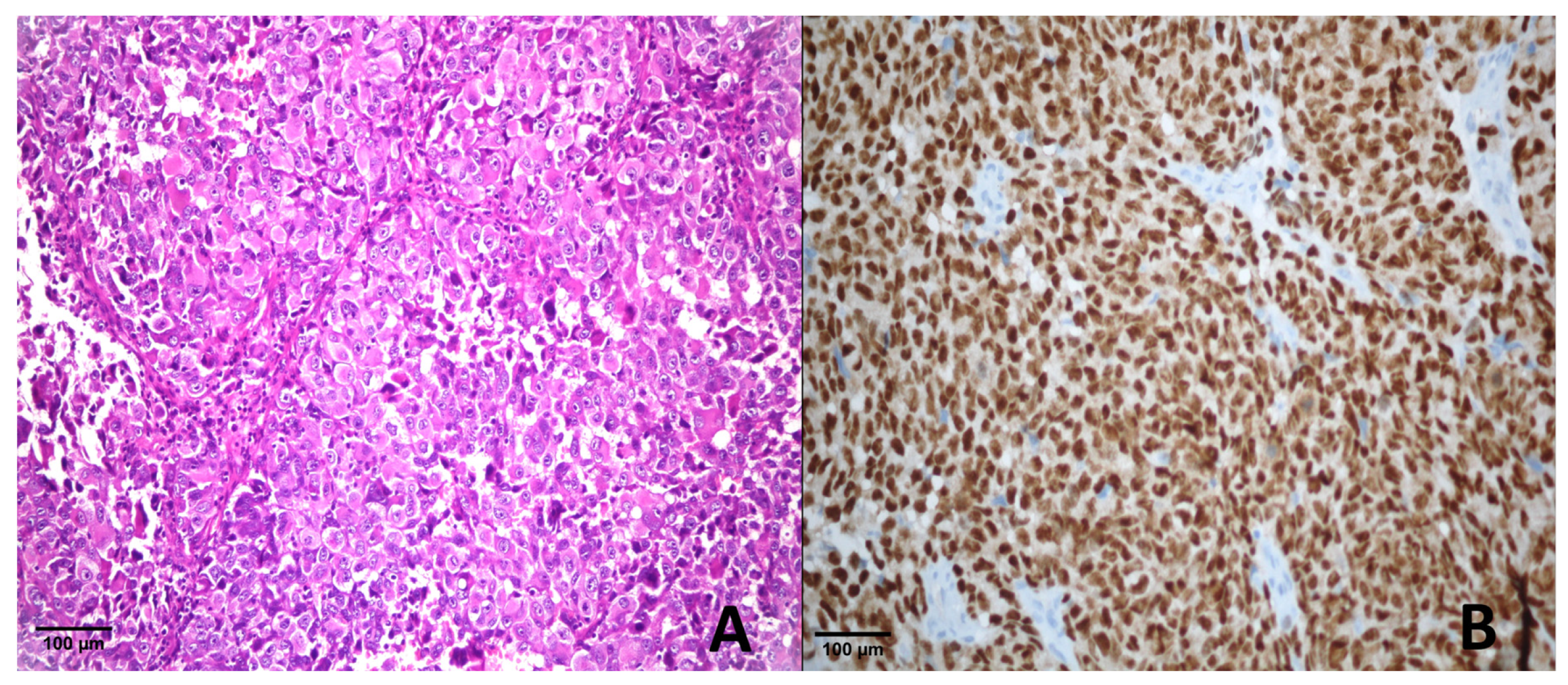 Diagnostics 15 02595 g001