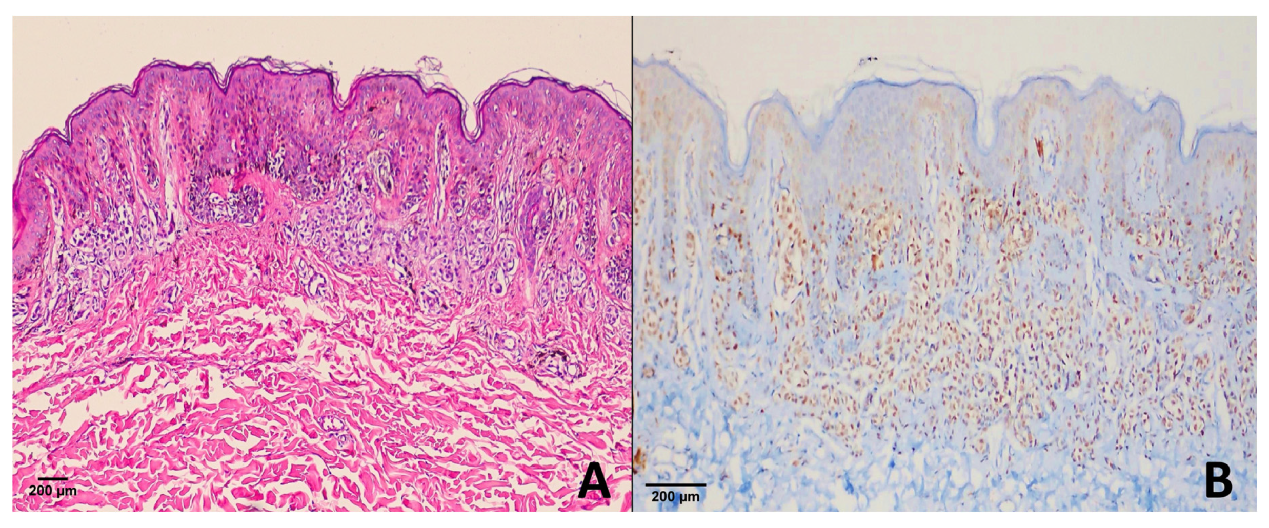 Diagnostics 15 02595 g003