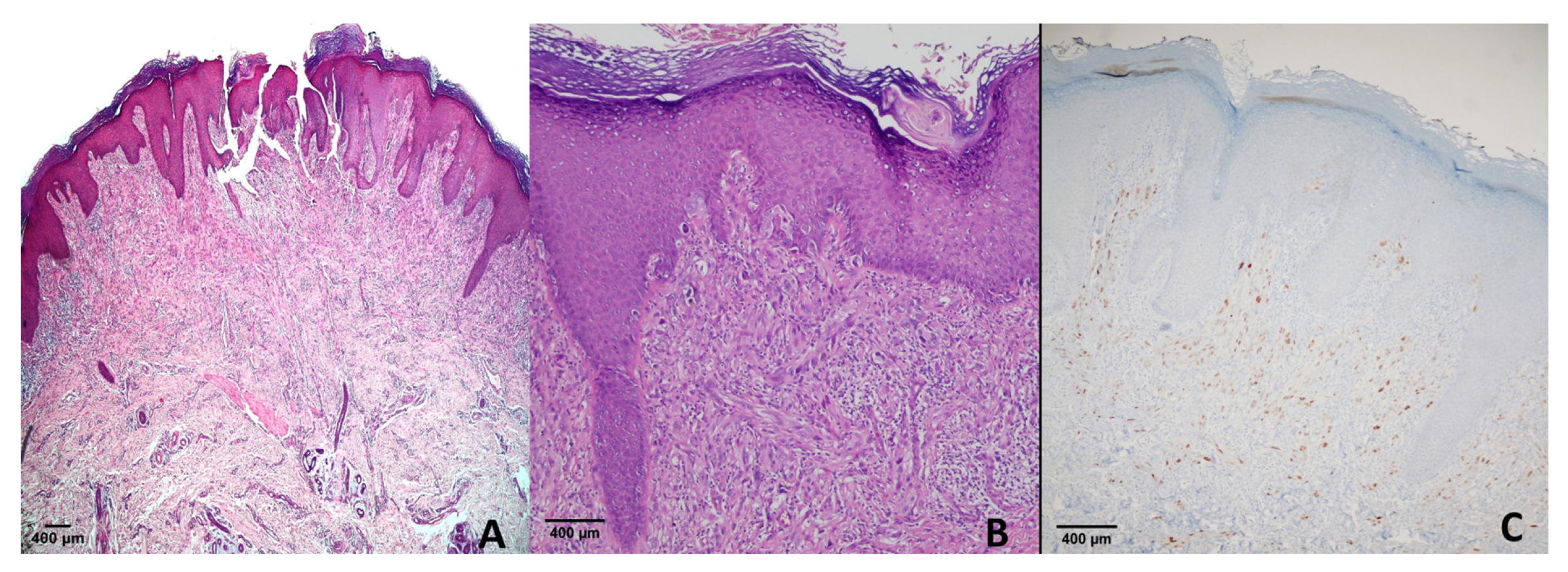 Diagnostics 15 02595 g004